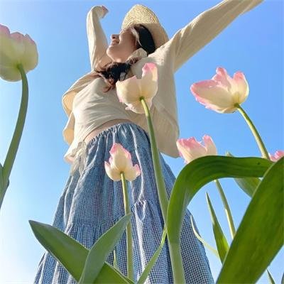 伤物语2:热血篇