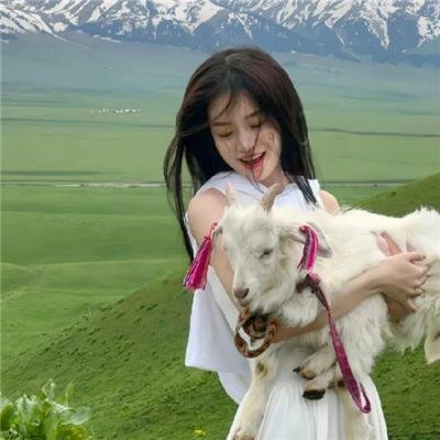 迷踪：第九鹰团